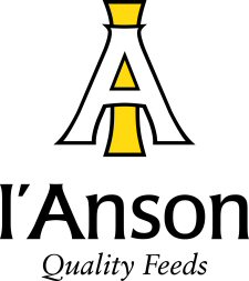 I'Anson